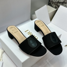 Christian Dior Slippers